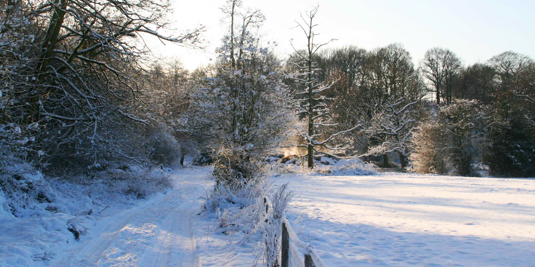 snow path