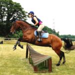 horse show jumping