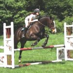 horse jumping