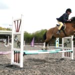 horse show jump